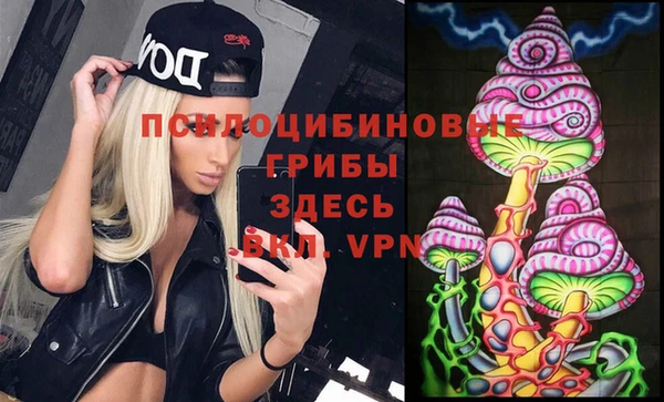 прущие крисы Алексеевка