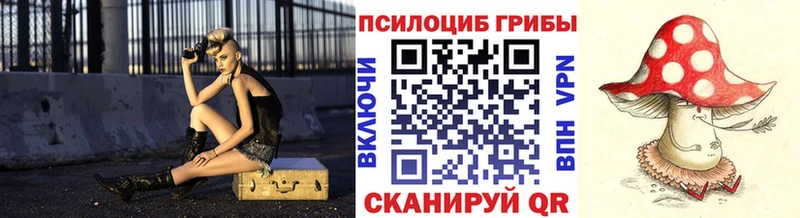 Псилоцибиновые грибы прущие грибы  Шенкурск 